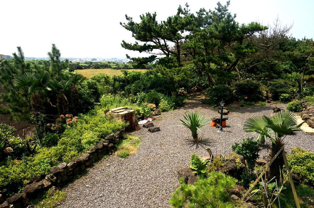 Nattrang Pension Jeju Esterno foto